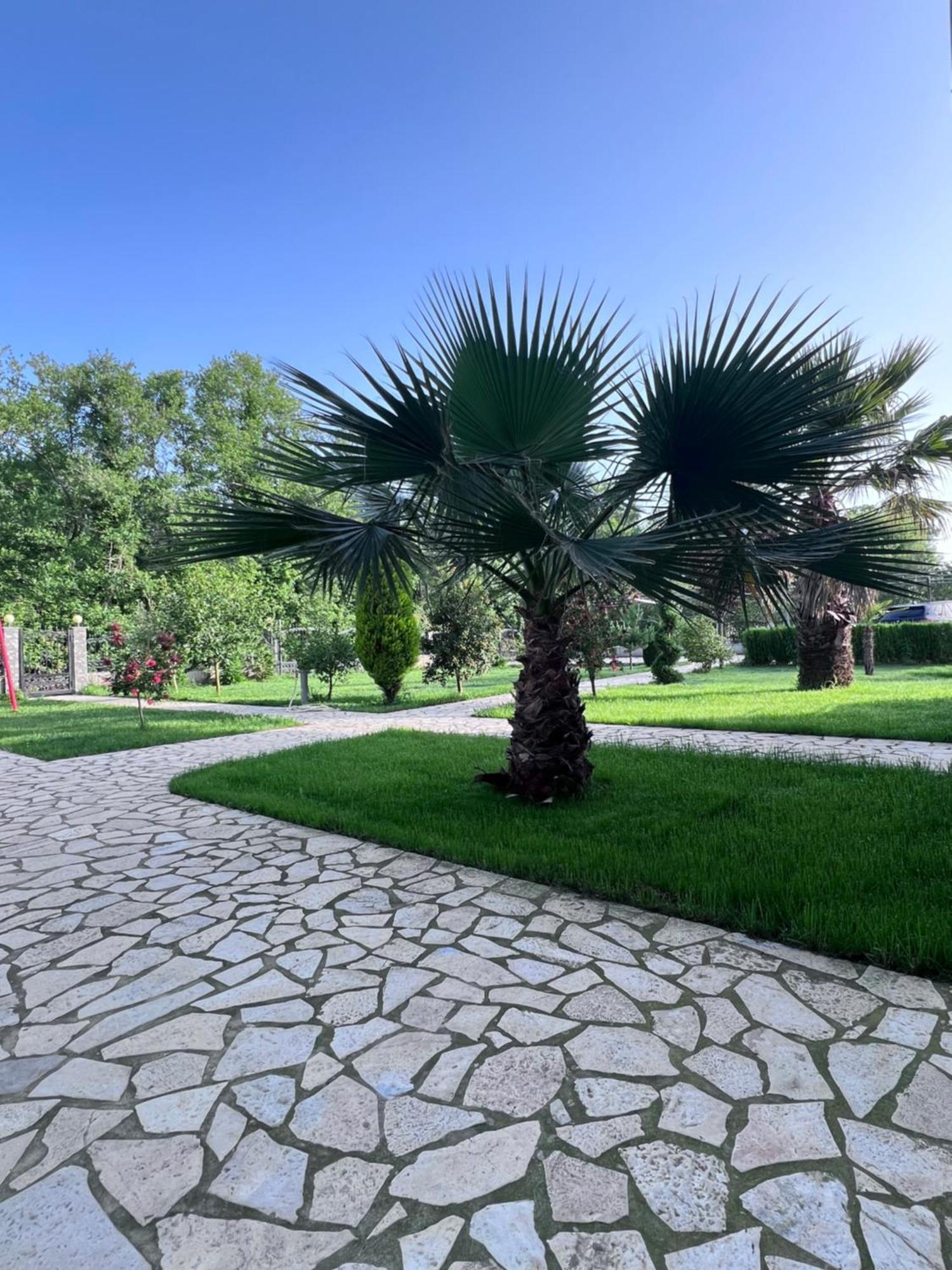 Residence Leora Ulcinj Ngoại thất bức ảnh