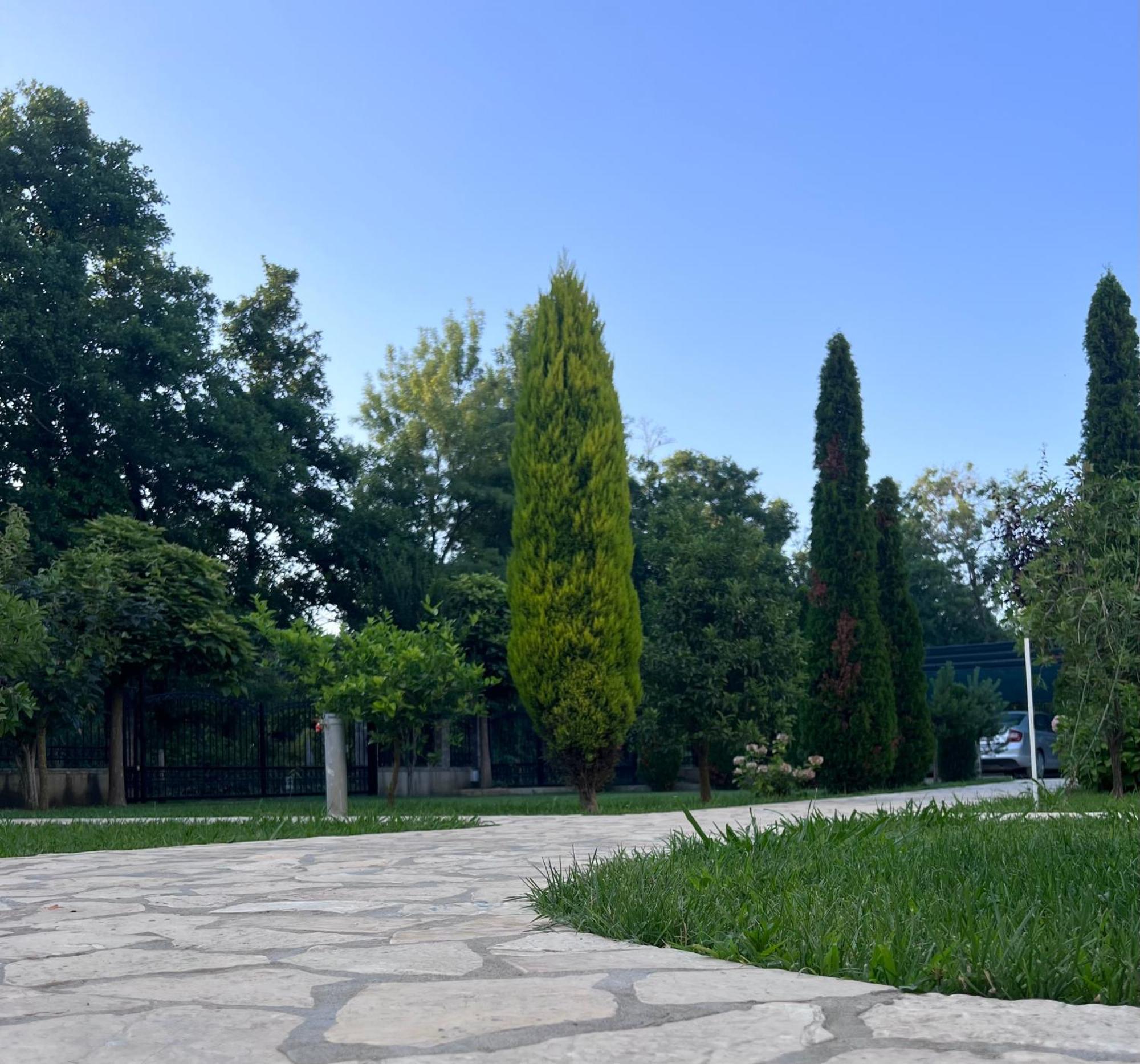 Residence Leora Ulcinj Ngoại thất bức ảnh